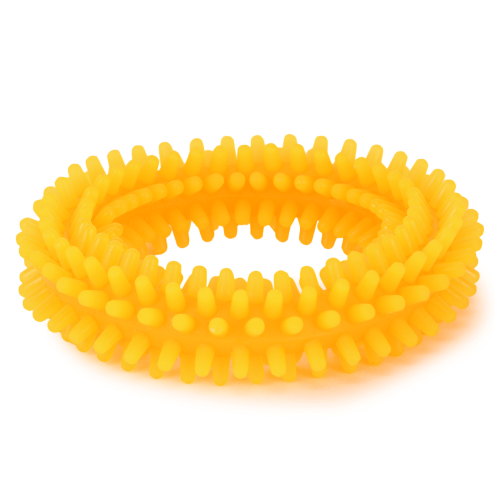 Basil Teething Ring Chew Toy and Squeaky Rubber Ball Toy Combo for Dogs