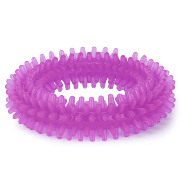 Drools Absolute Calcium Bones Treats, Basil Purple Teething Ring, & Barkbutler Garry the Giraffe Orange Plush Toy Combo for Dogs