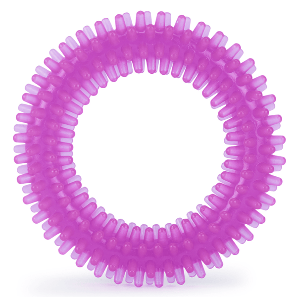 Basil Teething Ring Chew Toy, Himalaya Furglow Skin and Coat Tonic and M Pets Paw Cleaning Foam for Dogs Combo