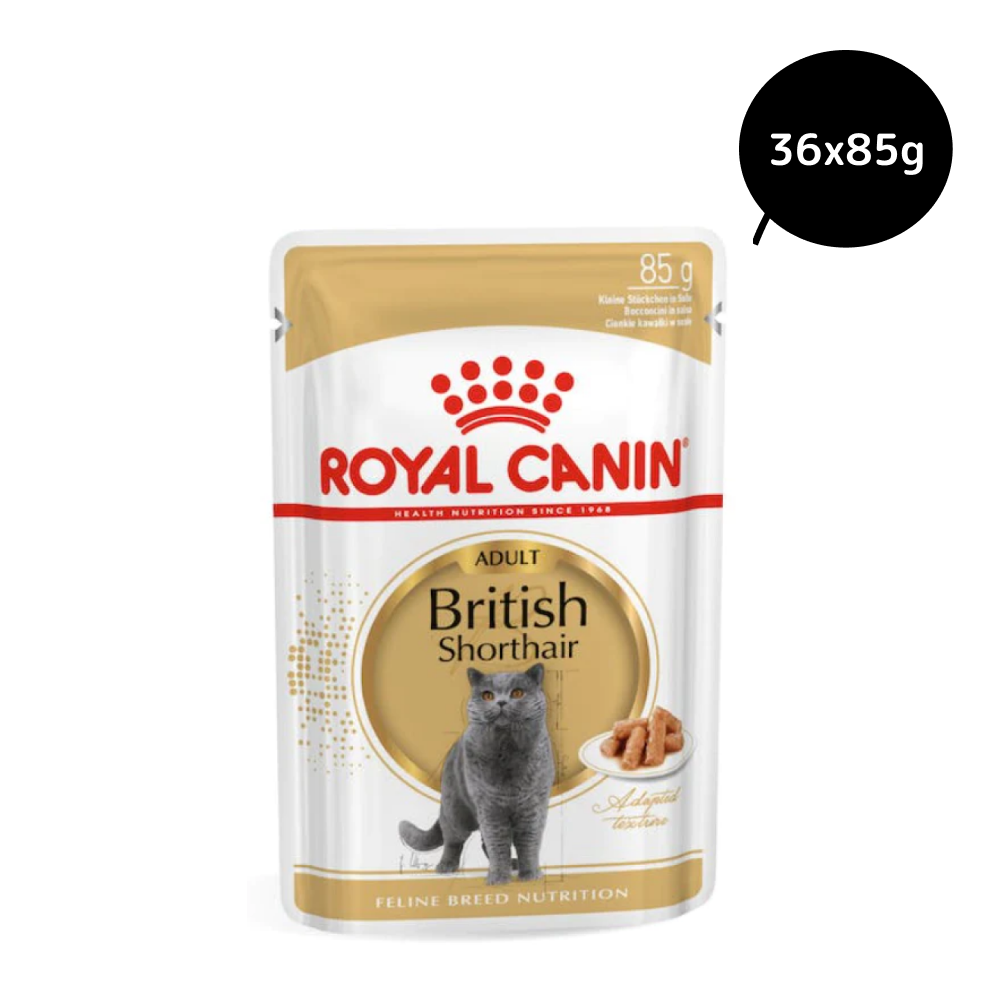 Royal Canin British Shorthair Adult Cat Wet Food