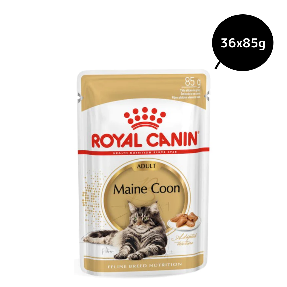 Royal Canin Maine Coon Adult Gravy Cat Wet Food