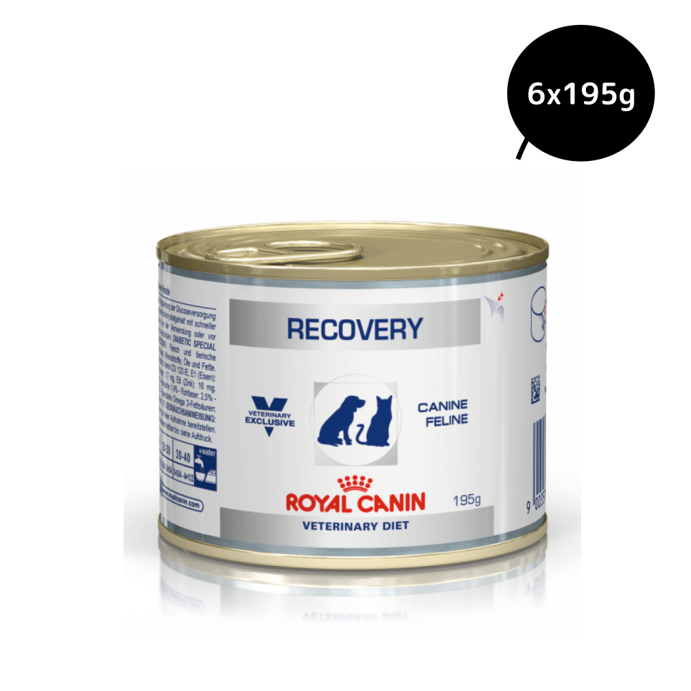 Royal Canin Recovery Canned Adult Pet Wet Food