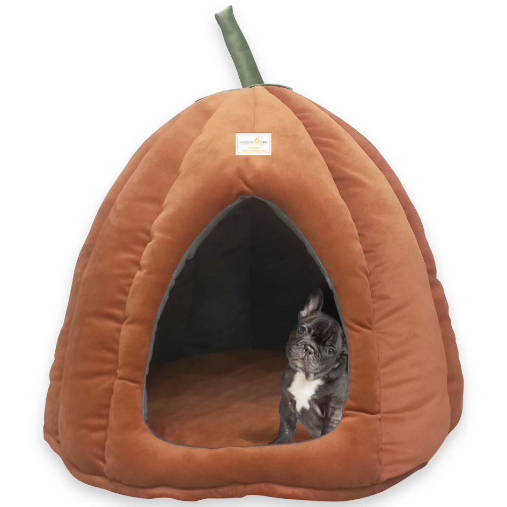 House of Furry Kaddu House for Dogs and Cats (Orange)
