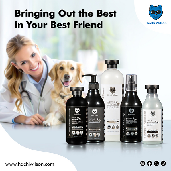 Hachi Wilson Super Premium White Tea and Basil Shampoo for Cats