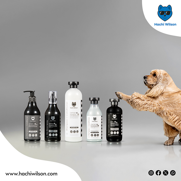 Hachi Wilson Super Premium White Tea and Basil Shampoo for Cats