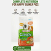 Versele Laga Crispy Muesli Food For Guinea Pig Hamster & Guinea pigs Versele Laga