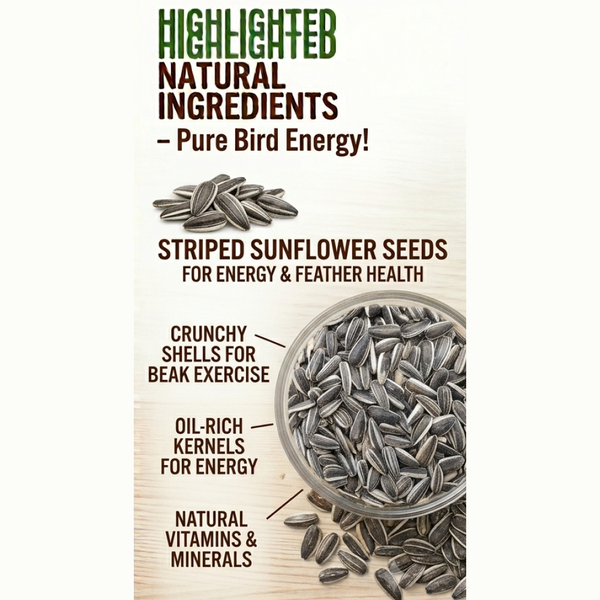 Versele Laga Sunflower Seeds Striped for Birds
