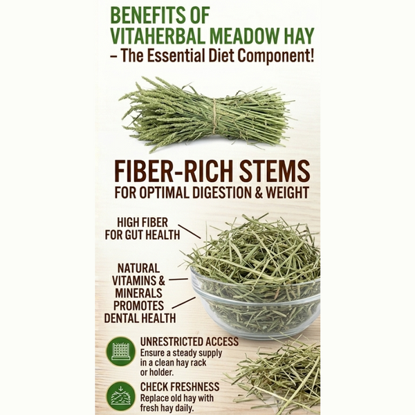 Vitapol Hay For Guinea Pigs, Hamsters & Rabbits