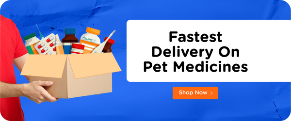 Pet shop home top delivery near me