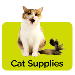 Cat discount supplies online