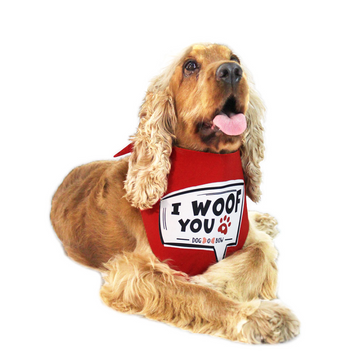 Dogobow I Woof You Scarf for Dogs (Red) (Get a Bow Free)