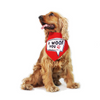 Dogobow I Woof You Scarf for Dogs (Red) (Get a Bow Free) Dogs-Clothing & Accessories Dogobow Dropship S
