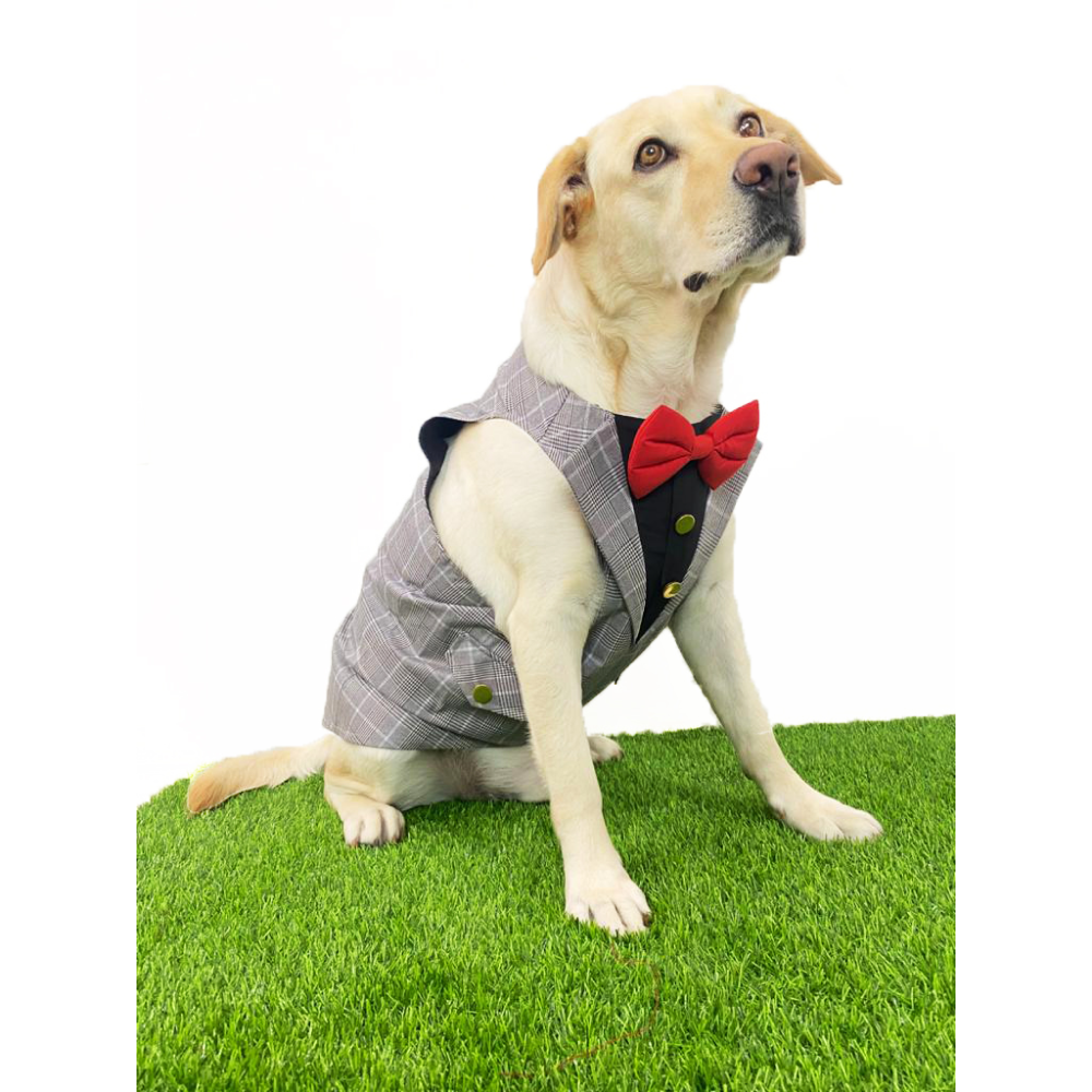 Dogobow Checked Tuxedo for Dogs (Grey) (Get a Bow Free) Dogs-Clothing & Accessories Dogobow Dropship XXL