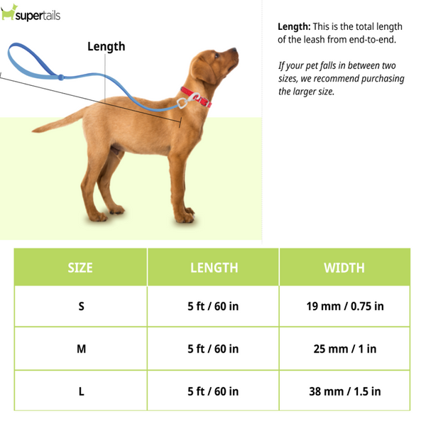 Tails to Tell Tactical Polyester Leash for Dogs (Red)