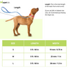 Tails to Tell Tactical Polyester Leash for Dogs (Red)