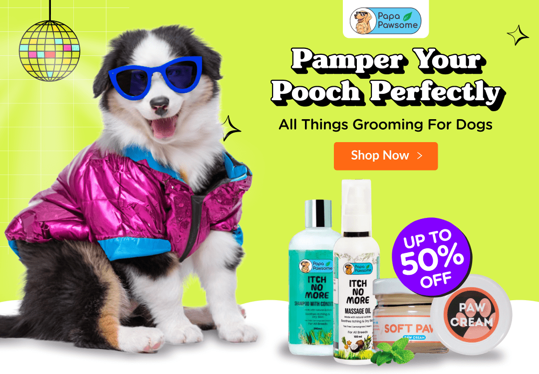 Pet Products