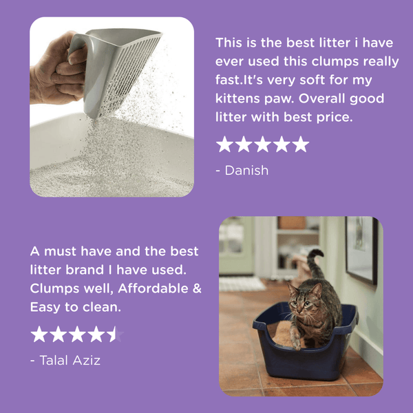 Scoopy Cat Litter Lavender Scented 100% Natural Indian Brown