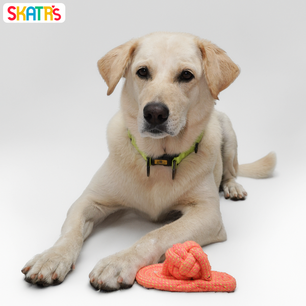 Skatrs Sandal Shaped Hand Made, Durable Rope Chew Toy for Dogs & Cats (Orange)