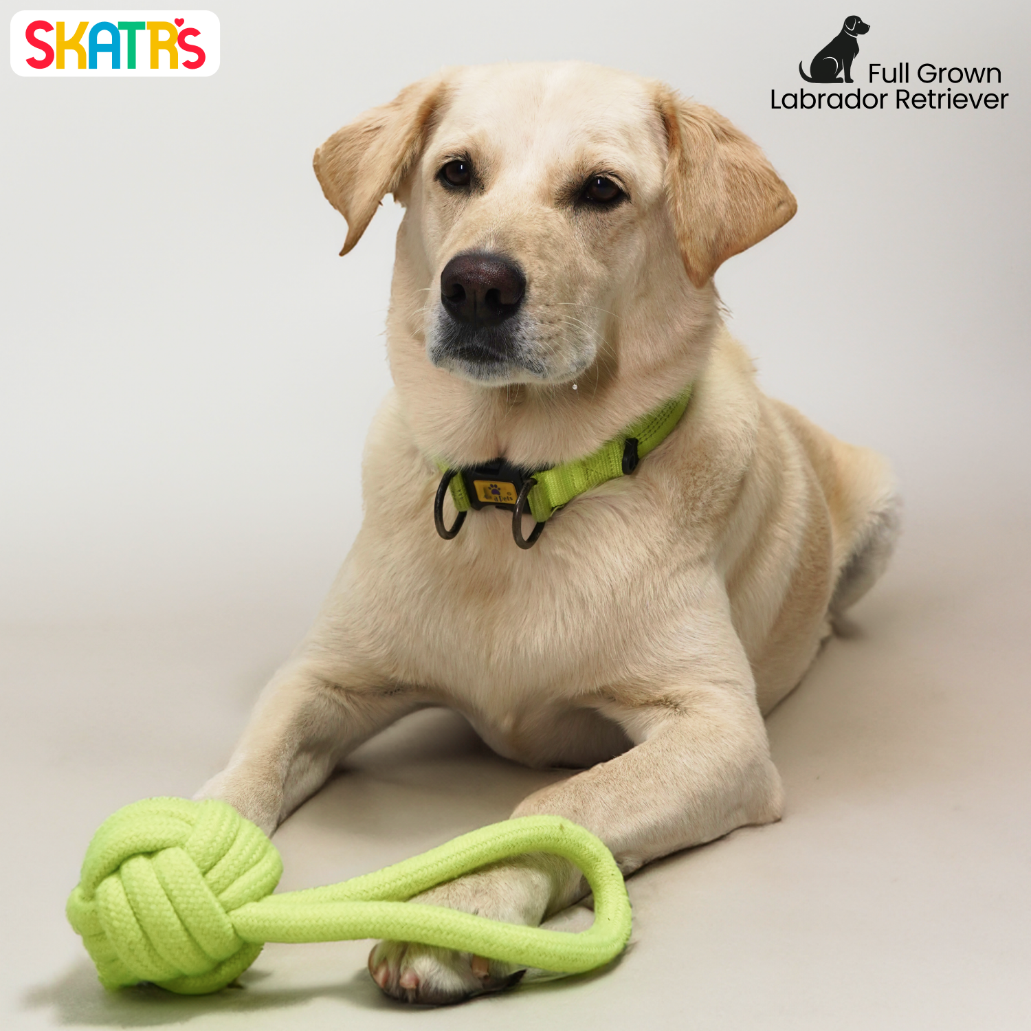 Skatrs Hand Made Knotted Ball with Handle Rope Chew Toy for Cats and Dogs (Neon Green) Both-Toys Skatrs