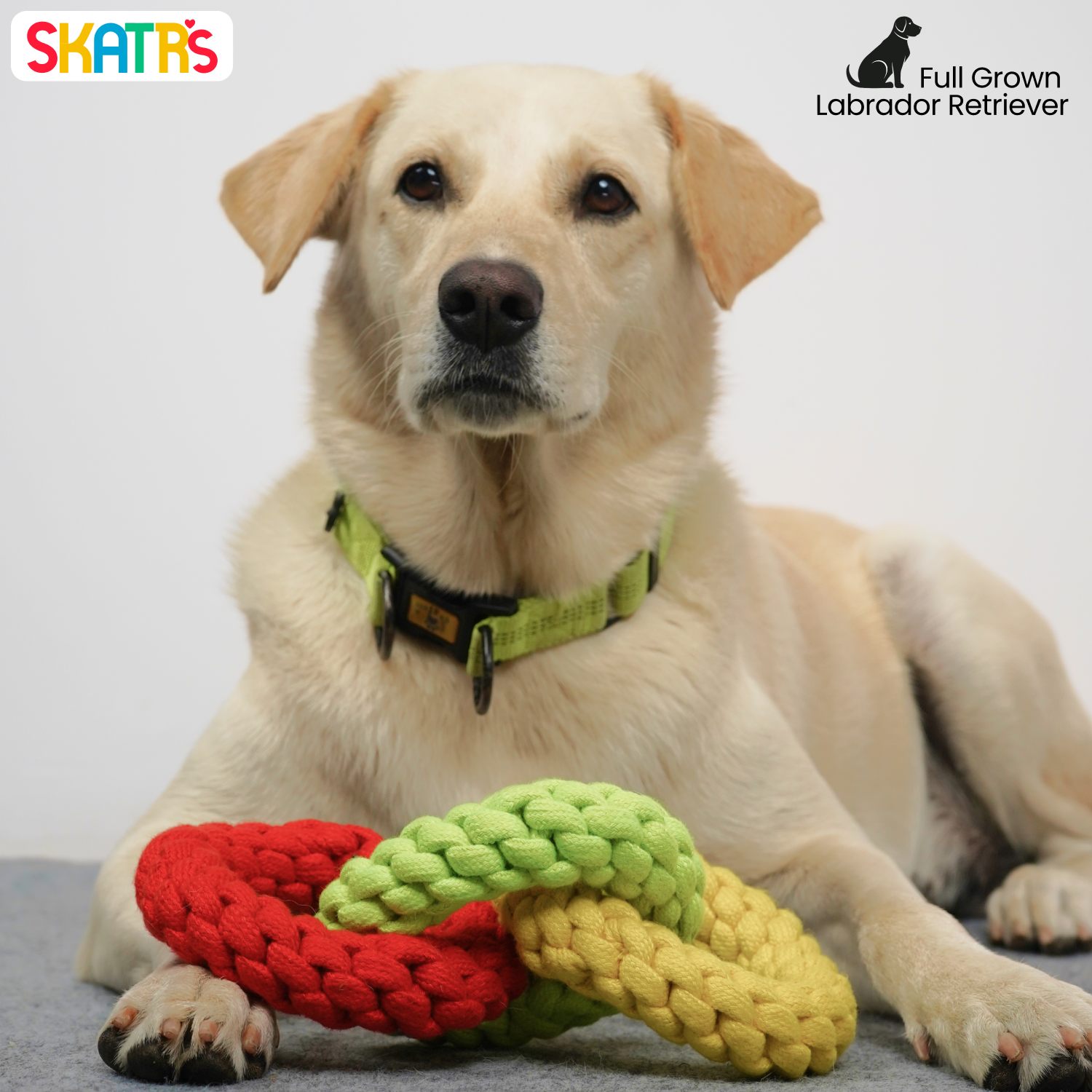 Skatrs Triple Ring Rope Chew Toy for Dogs and Cats (Neon Green/Red/Yellow) Both-Toys Skatrs