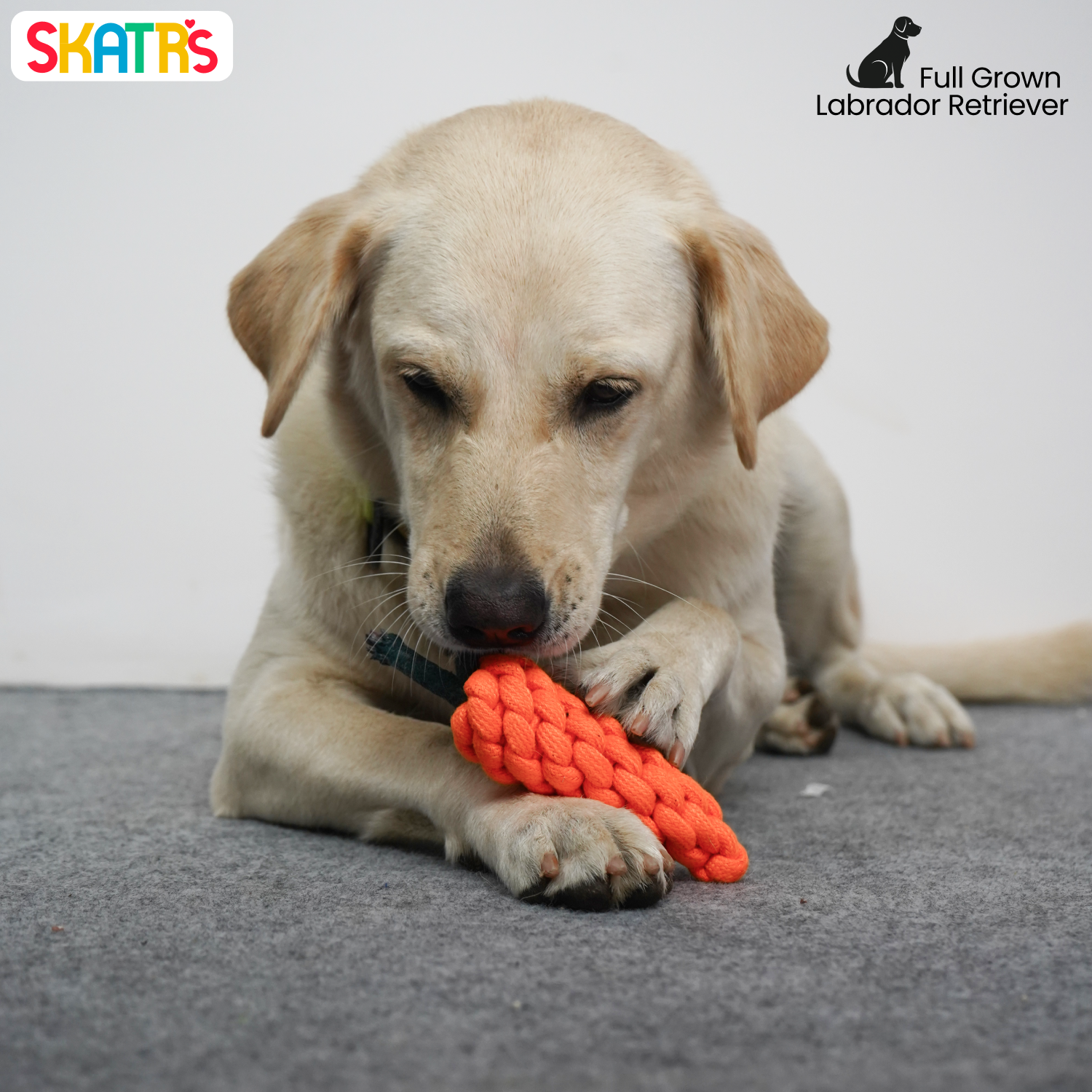 Skatrs Carrot Shaped Rope Chew Toy for Dogs and Cats (Orange)