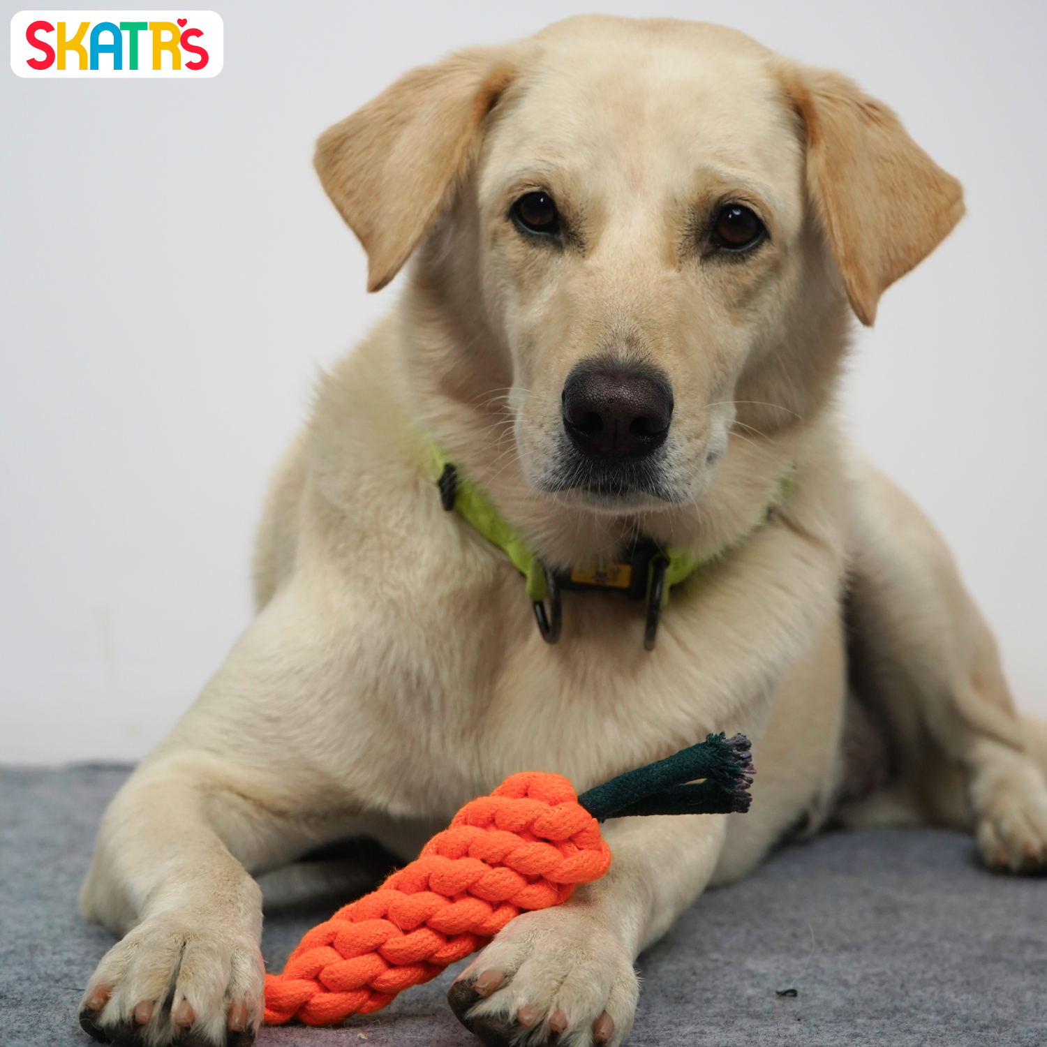 Skatrs Carrot Shaped Rope Chew Toy for Dogs and Cats (Orange)