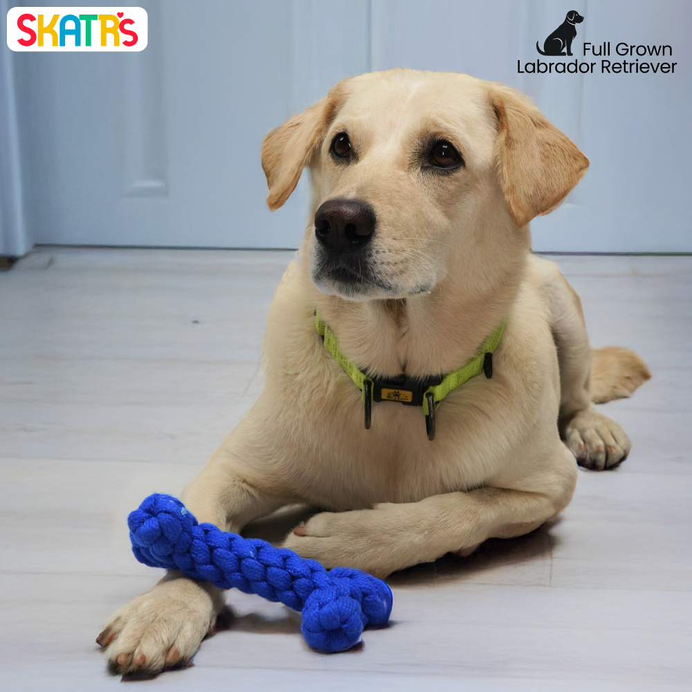 Skatrs Bone Shaped Rope Chew Toy for Dogs and Cats (Royal Blue) Both-Toys Skatrs