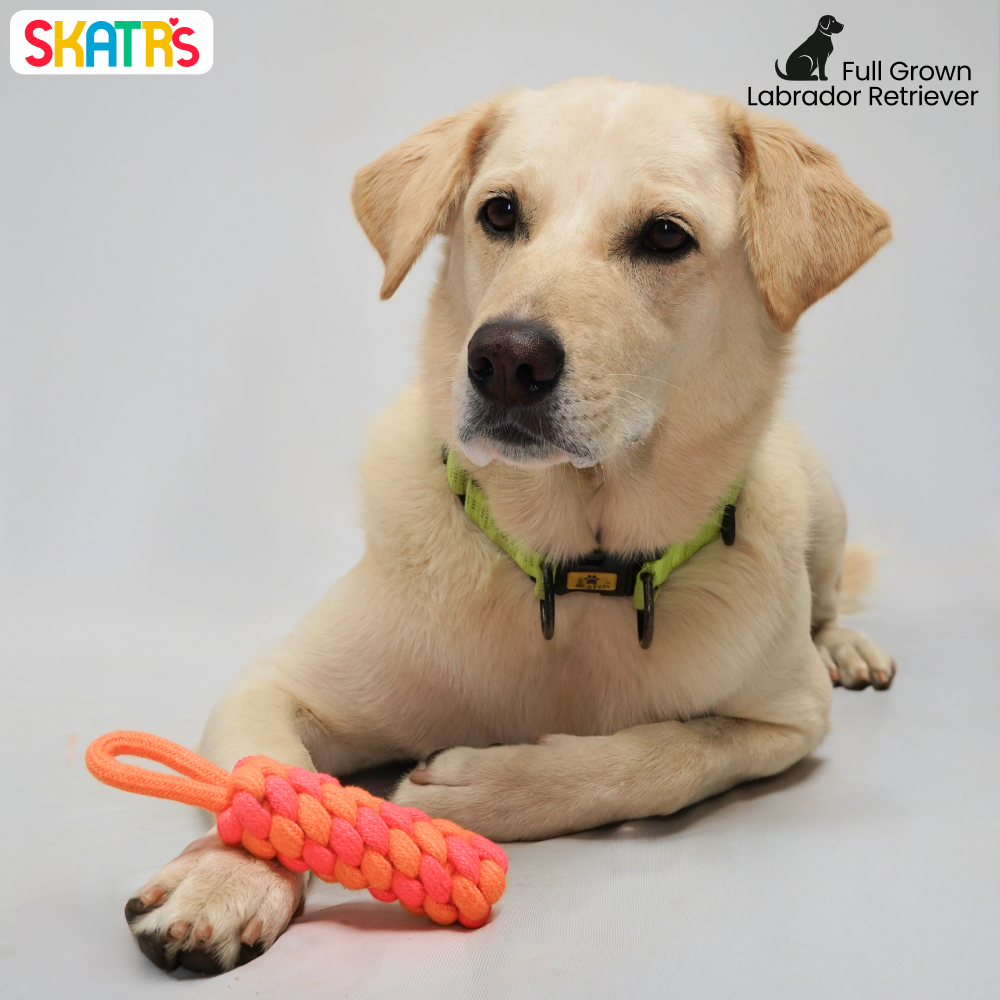 Skatrs Dummy Knotted Rope Chew Toy for Dogs and Cats (Pink/Orange) Both-Toys Skatrs