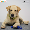 Skatrs Dummy Knotted Rope Chew Toy for Dogs and Cats (Blue) Both-Toys Skatrs