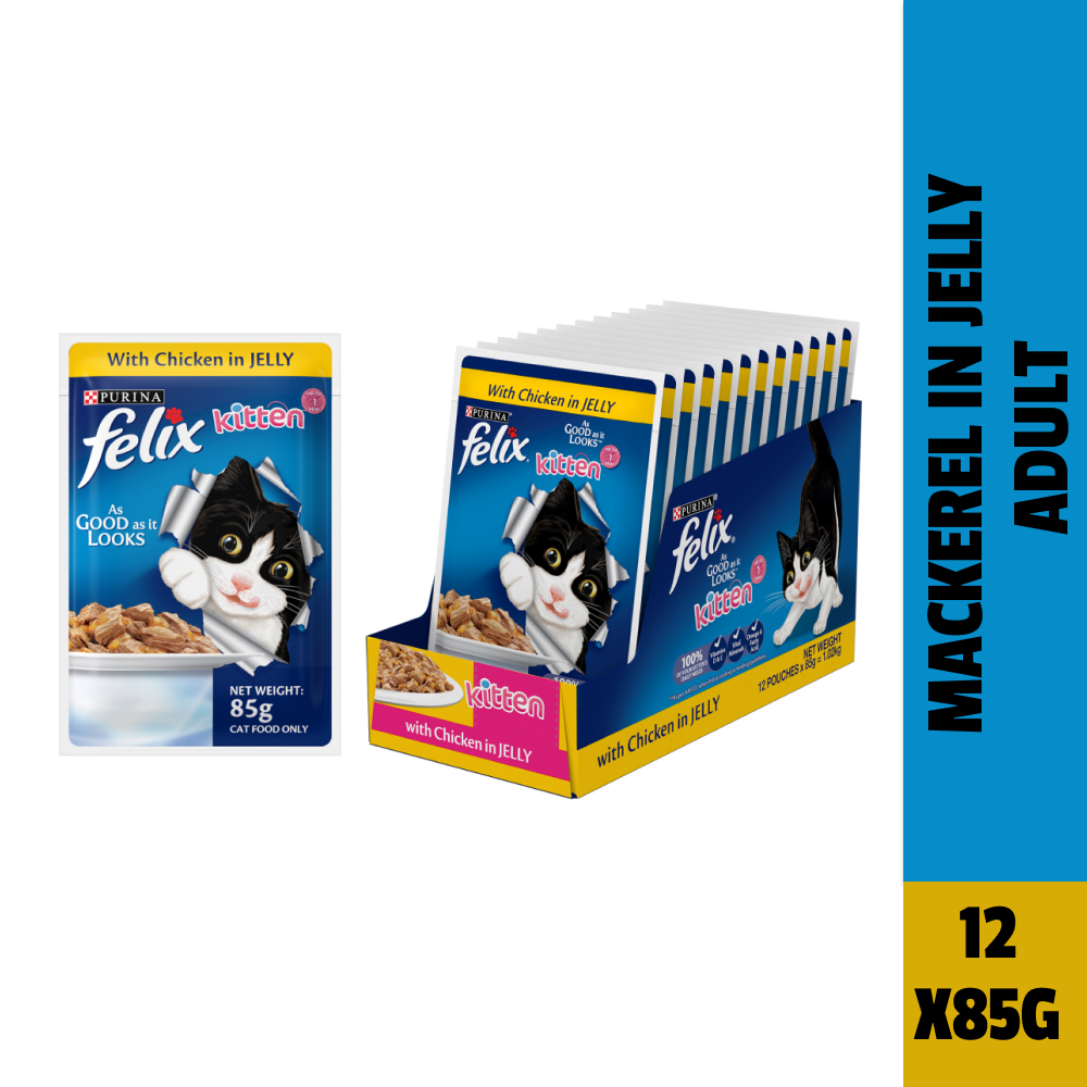 Buy Purina Felix Chicken with Jelly Kitten Wet Food Online Supertails