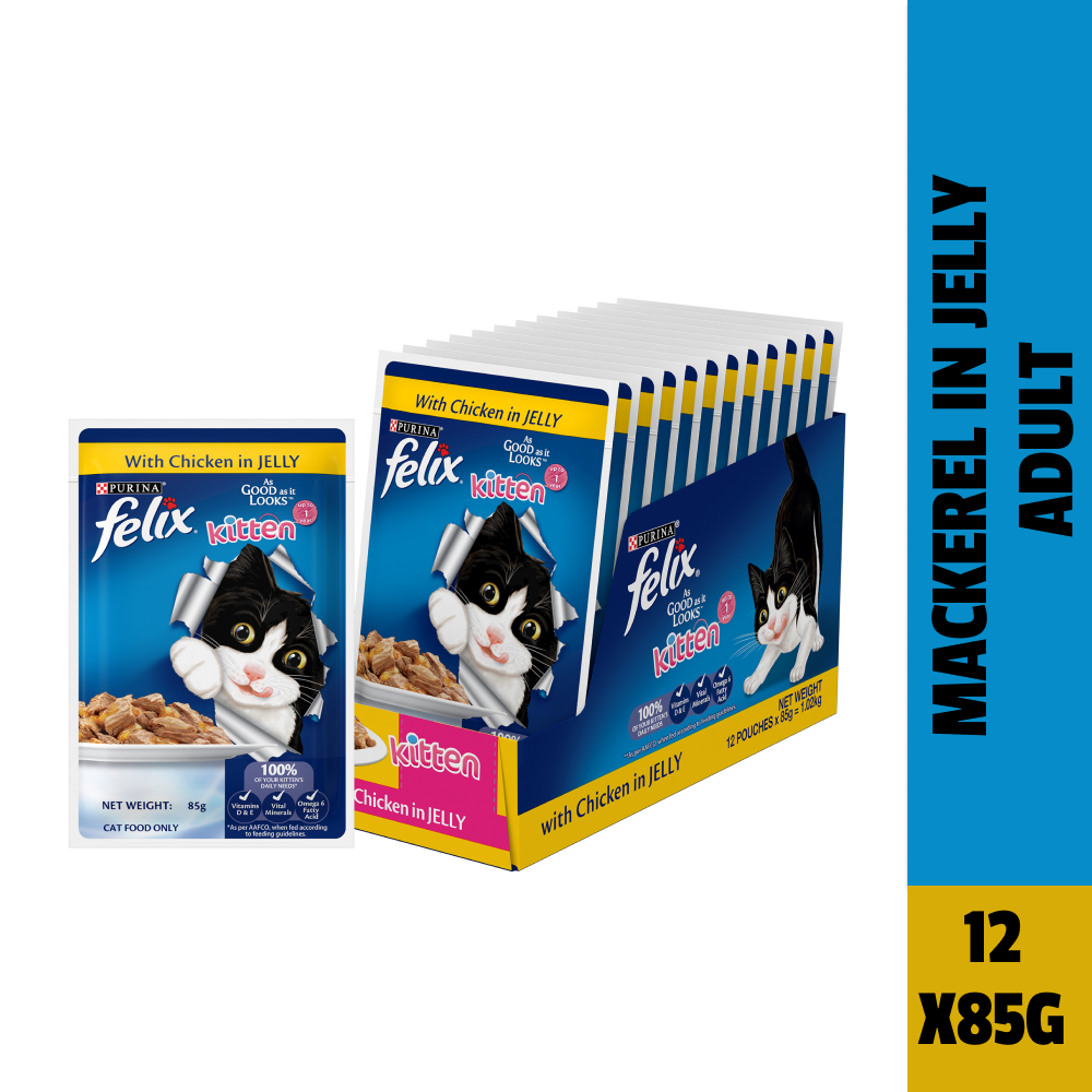 Purina Felix Chicken with Jelly Kitten Cat Wet Food