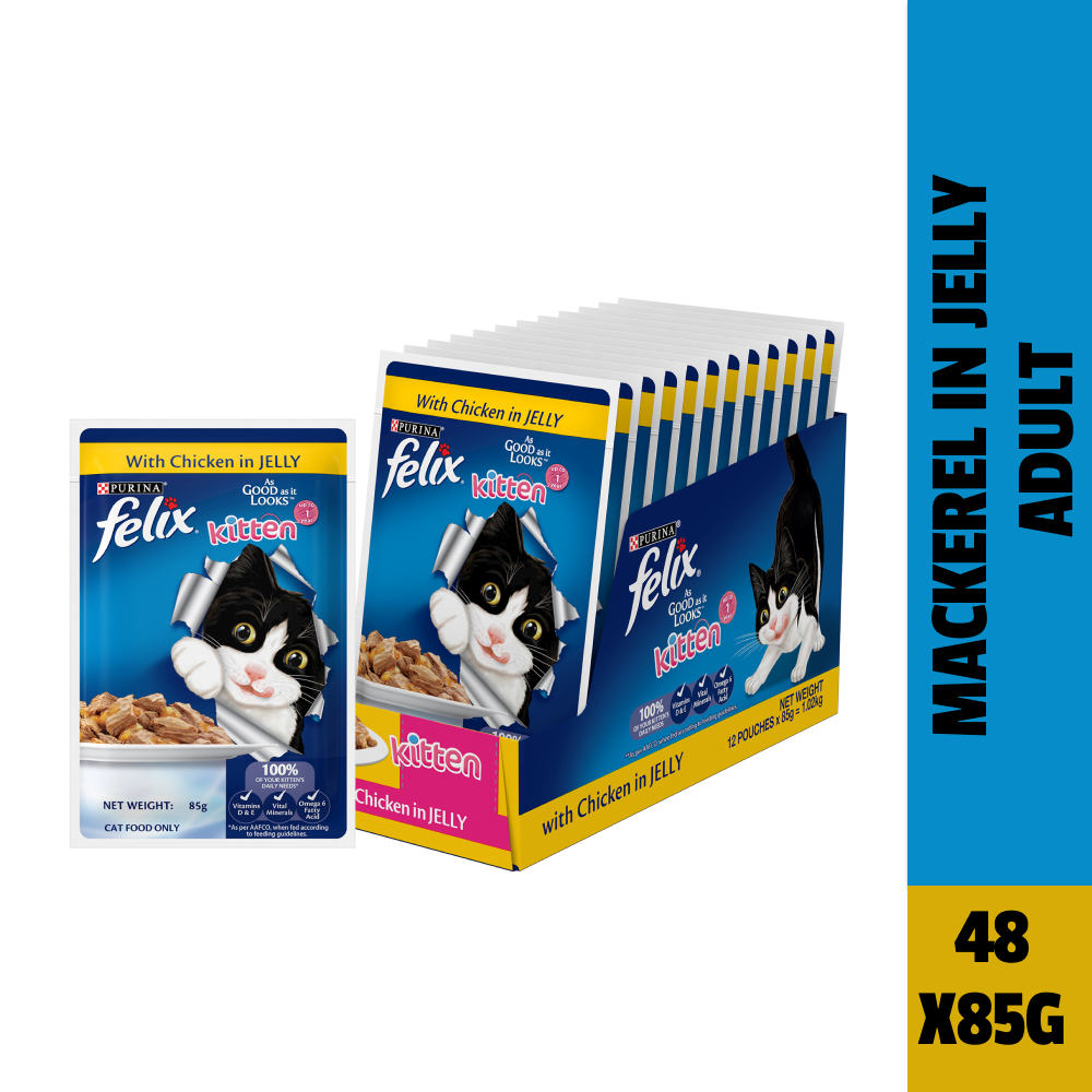 Purina Felix Chicken with Jelly Kitten Cat Wet Food