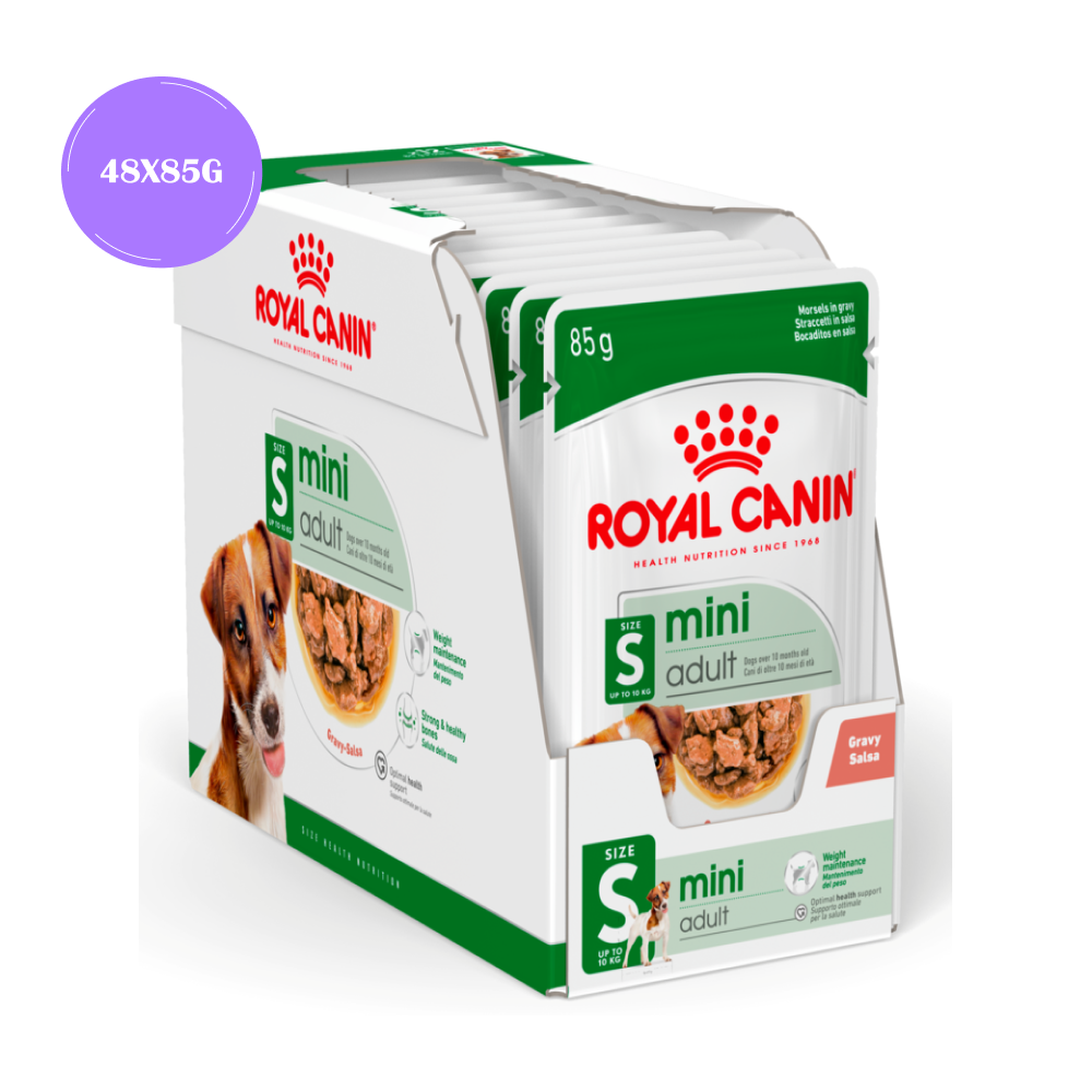 Royal Canin Mini Adult Gravy Dog Wet Food Dogs-Wet Food Royal Canin 48x85g