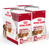 Royal Canin Medium Adult Dog Wet Food