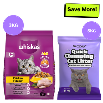 Whiskas Chicken Flavour Cat (Adult 1+) Dry Food