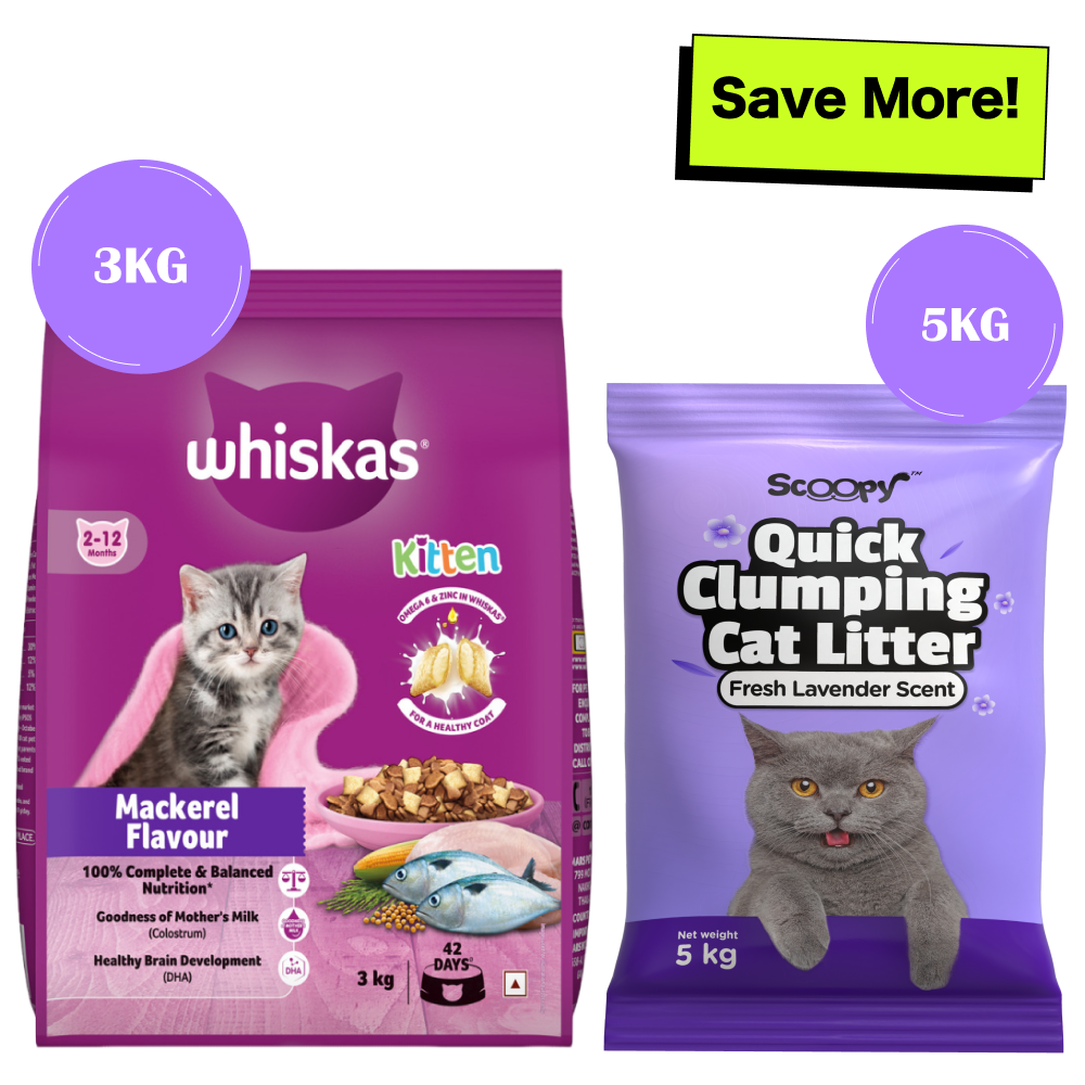 Whiskas Mackerel Flavour Kitten (2 to 12 months)Cat Dry Food