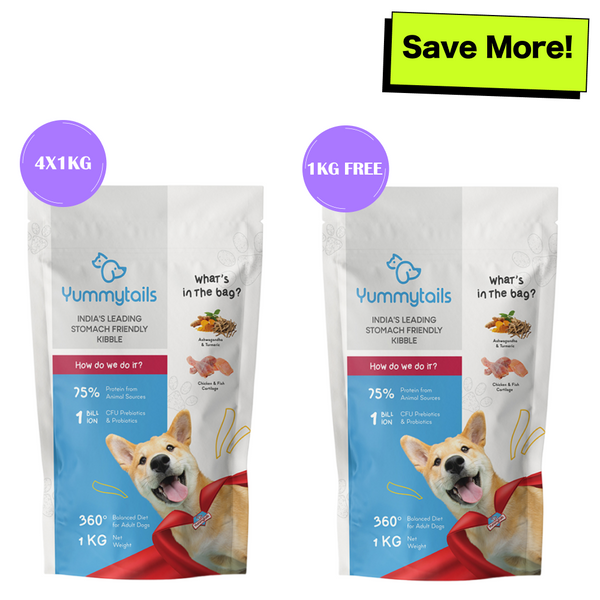 Yummytails Chicken and Fish Premium Adult Medium and Large Dog Dry Food