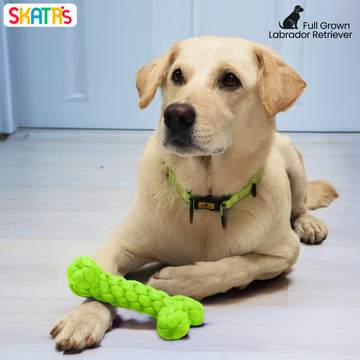 Skatrs Bone Shaped Rope Chew Toy for Dogs and Cats (Neon Green)