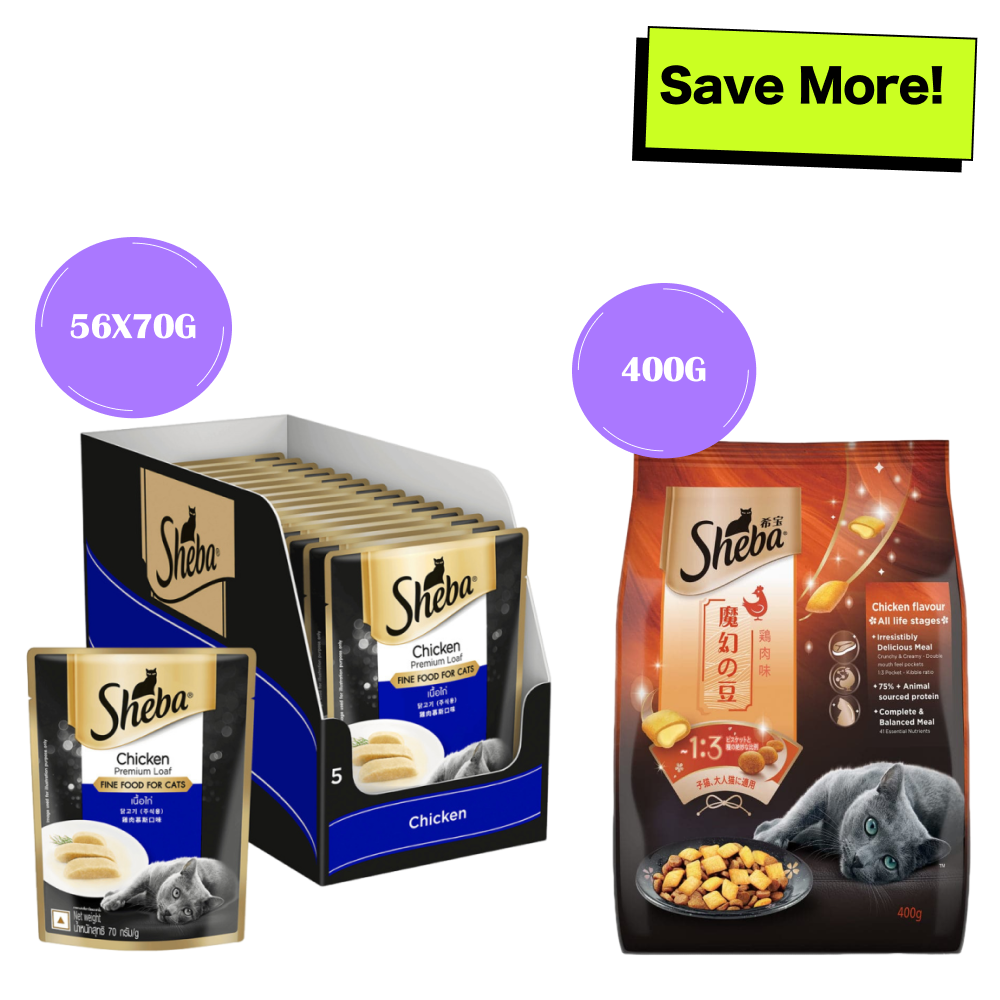 Sheba Chicken Loaf Rich Premium Adult Fine Wet Food and Chicken All Life Stage Cat Dry Food Combo Exclusive Combo Sheba 56x70g + 400g