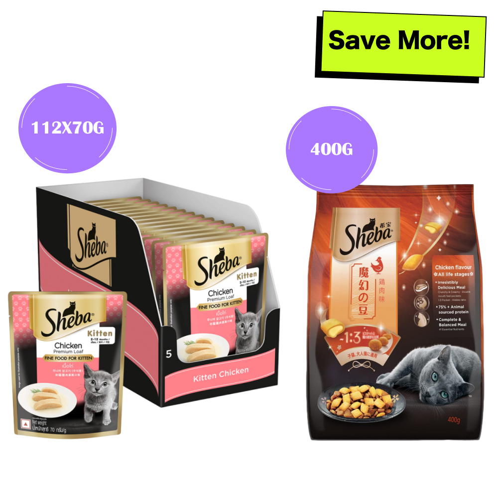 Sheba Chicken Loaf Premium Kitten (2 to 12 Months) Wet Food and Chicken All Life Stage Cat Dry Food Combo Exclusive Combo Sheba 112x70g + 400g