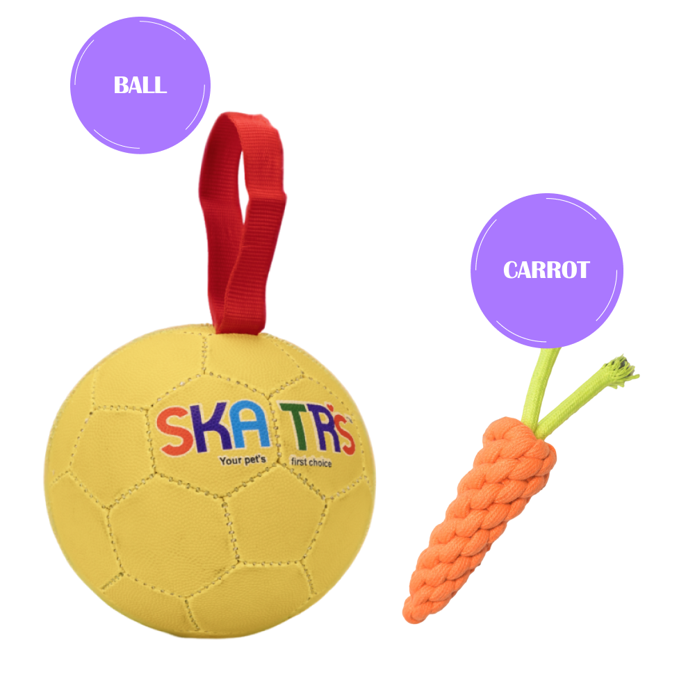 Skatrs Football Training Ball Toy With Holding Loops for Dogs | For Aggresive Chewers | Medium and Large Breeds