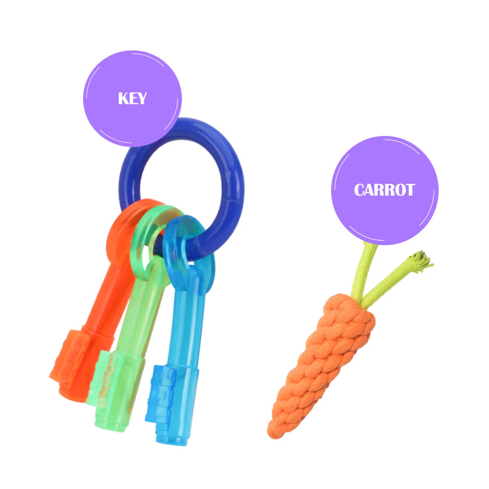 Skatrs Key Shaped Chew Teether Toy for Puppy and Dogs