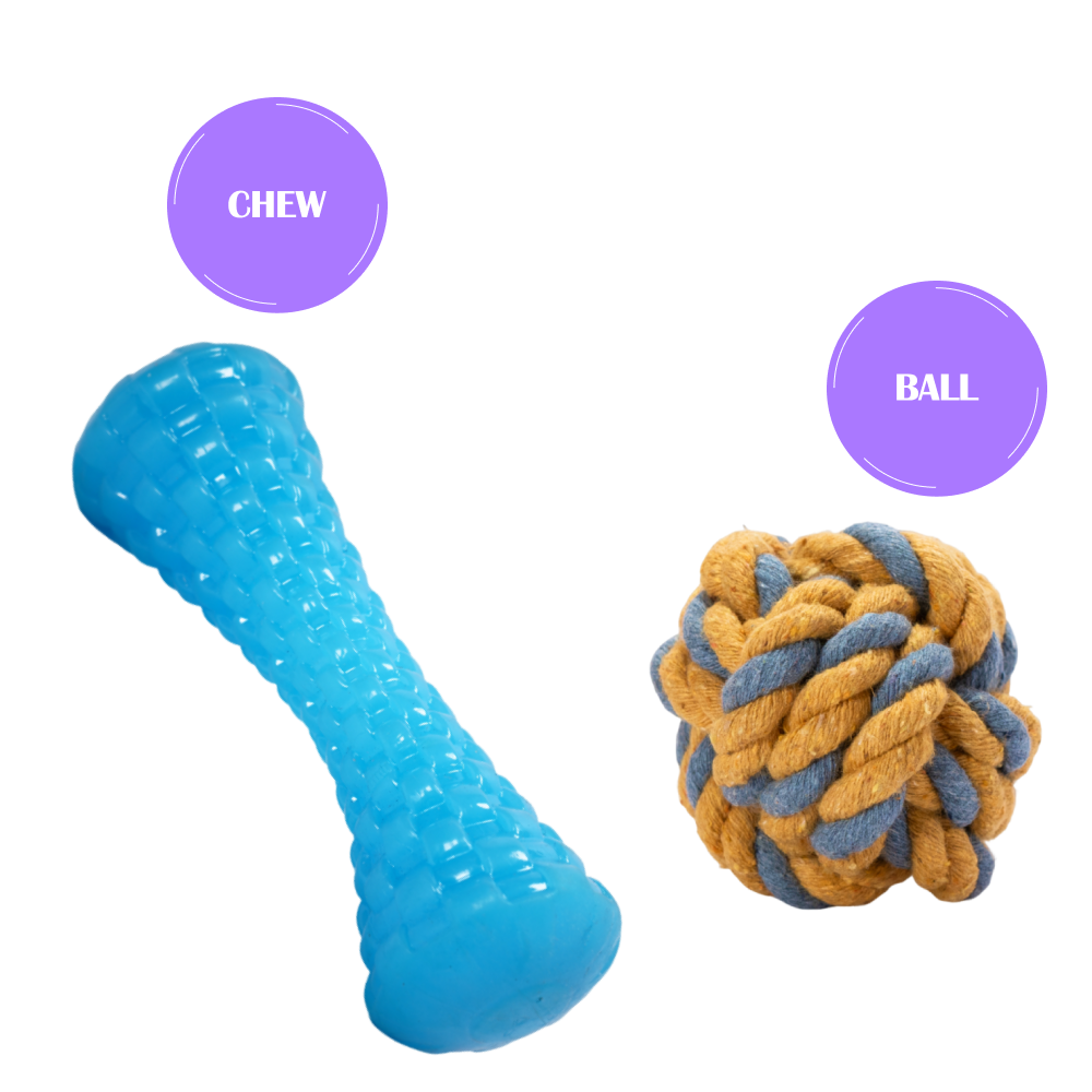 Skatrs Latex Dumbell Toy for Dogs (Blue)