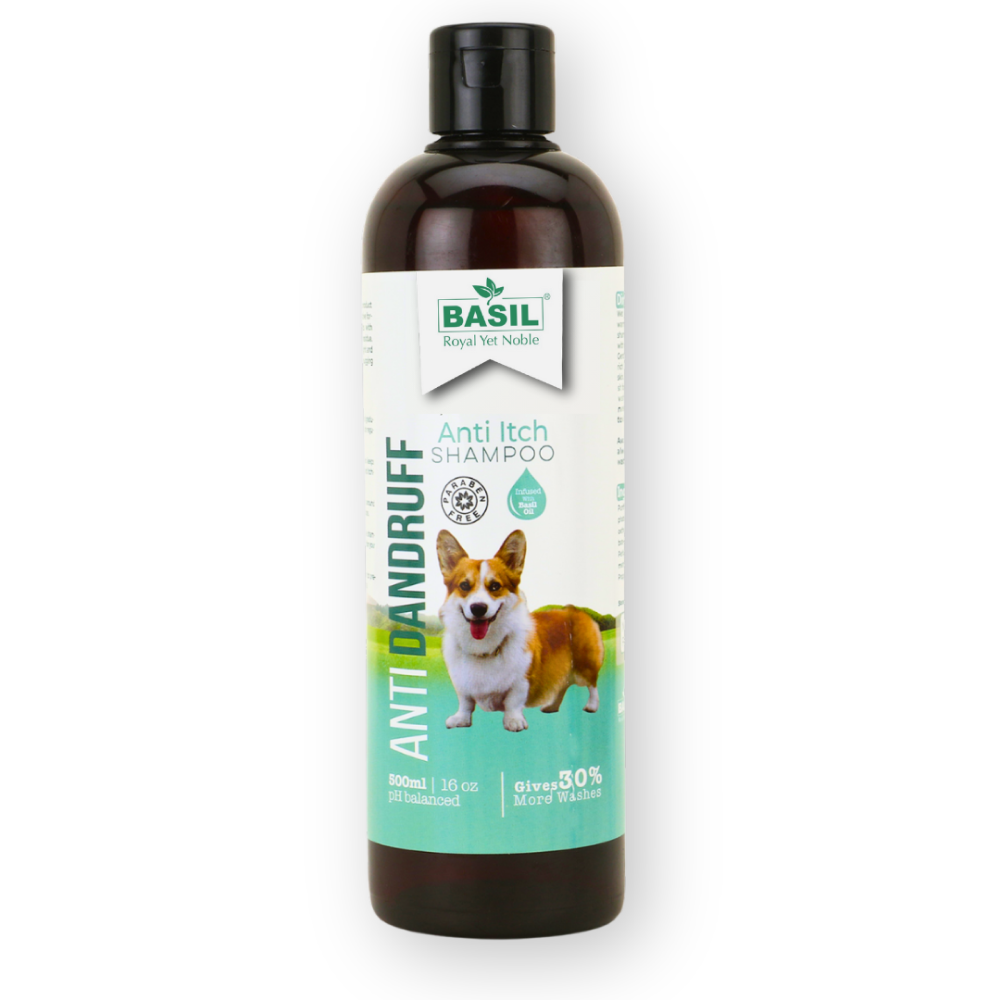 Basil Anti Dandruff & Anti Itch Shampoo for Dogs and Cats Both-Grooming Supplies Basil 500mL