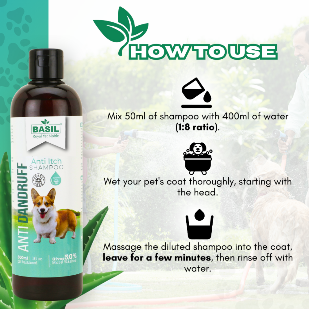 Basil Anti Dandruff & Anti Itch Shampoo for Dogs and Cats Both-Grooming Supplies Basil