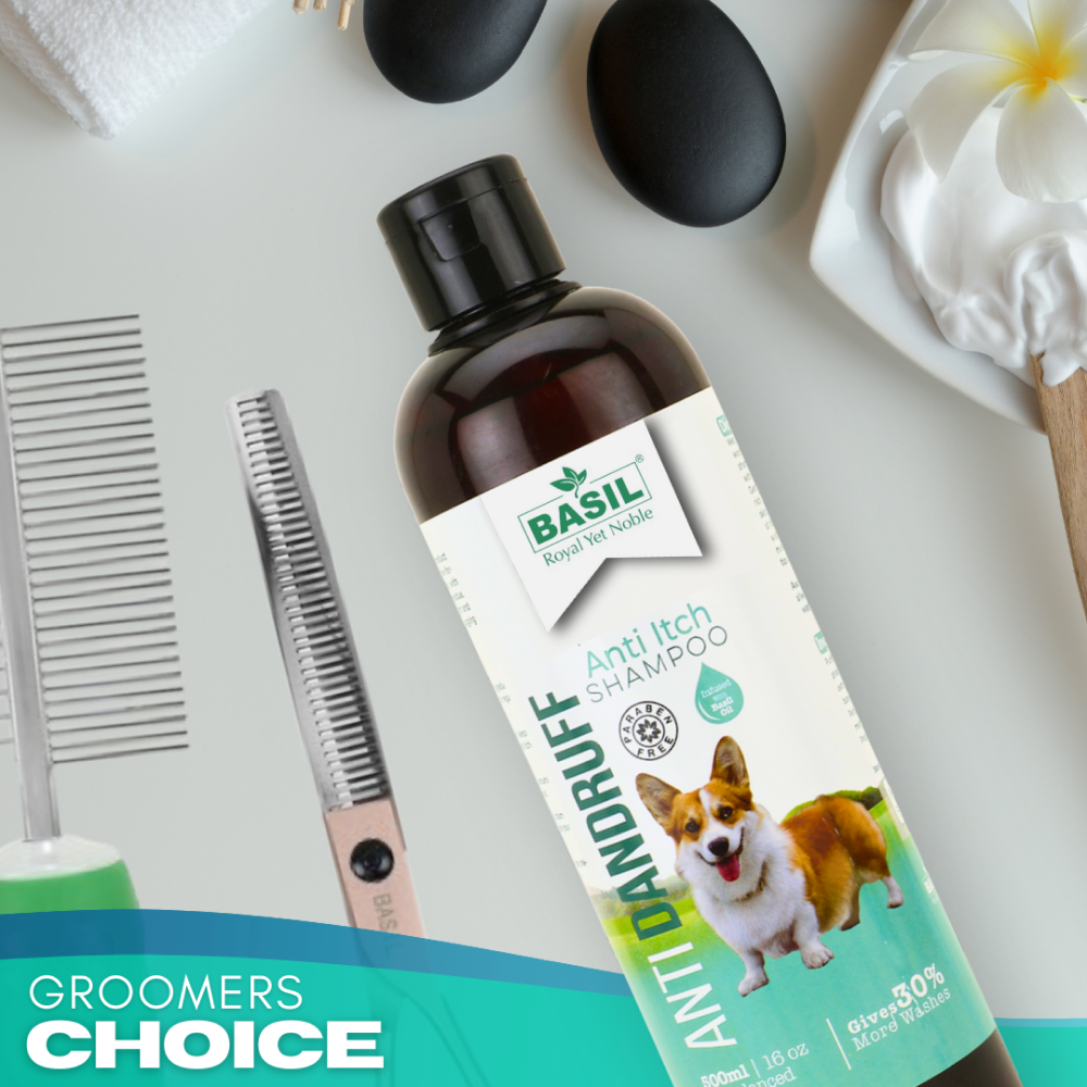 Basil Anti Dandruff & Anti Itch Shampoo for Dogs and Cats Both-Grooming Supplies Basil