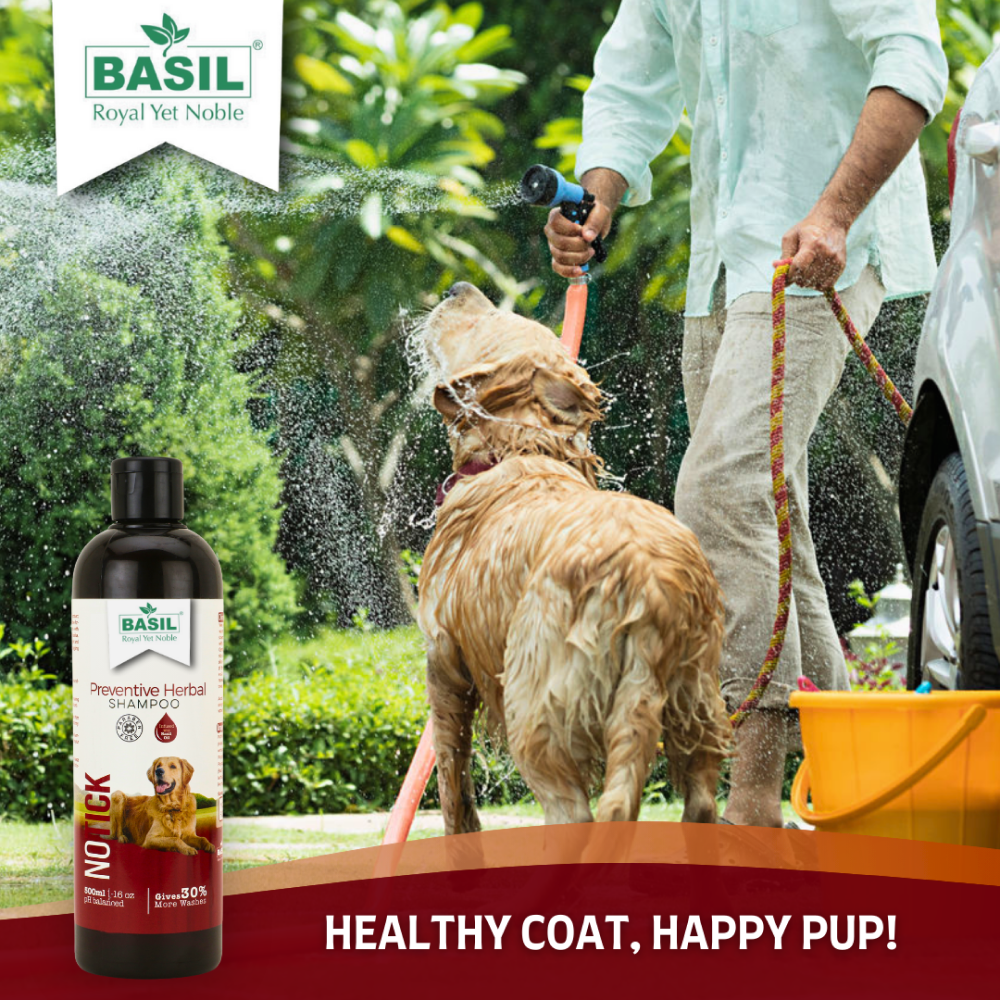 Basil Herbal No Ticks Dog Shampoo