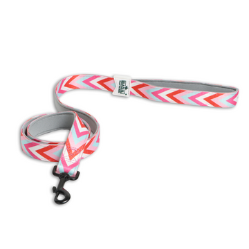 Basil Printed Leash for Dogs and Cats (Pink)