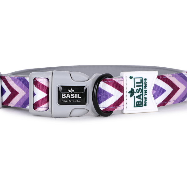 Basil Printed Collar for Dogs (Purple)