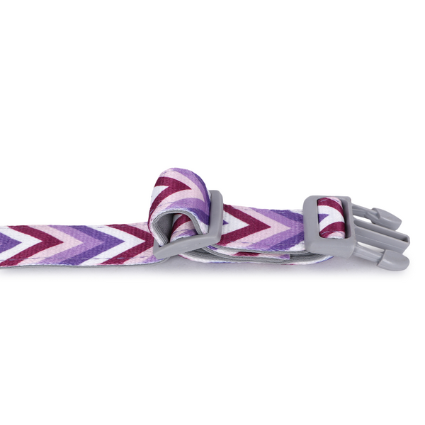 Basil Printed Collar for Dogs (Purple)